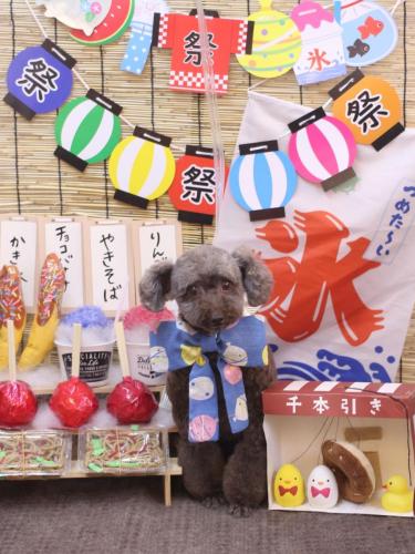 20240721モカくん